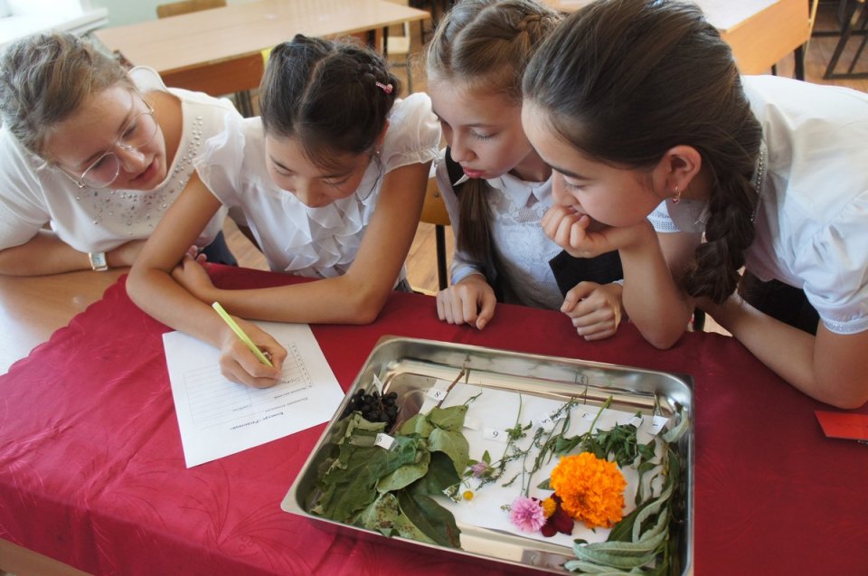 Школьные ботаники. Занятия по ботанике для детей. Дети изучают ботанику. Практические занятия по ботанике. Ботаника в школе.