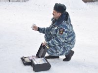 Студенты ЭЮФ в кинологическом центре МВД (7.11.2016)