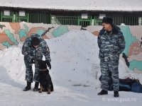 Студенты ЭЮФ в кинологическом центре МВД (7.11.2016)