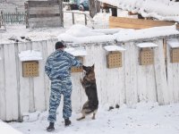 Студенты ЭЮФ в кинологическом центре МВД (7.11.2016)