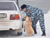 Студенты ЭЮФ в кинологическом центре МВД (7.11.2016)