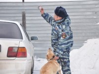 Студенты ЭЮФ в кинологическом центре МВД (7.11.2016)