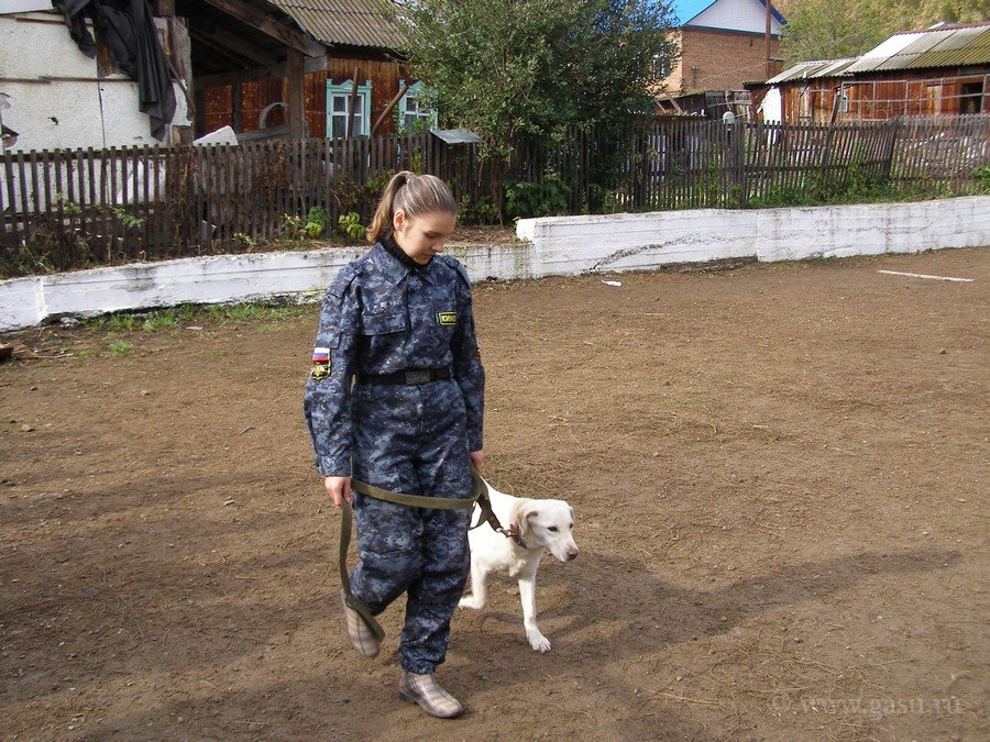 Московский кинологический колледж. Кинолог колледж. Форма кинолога в колледже. Кинология в Пашковском сельскохозяйственном колледже. Кинологический колледж Щелково.