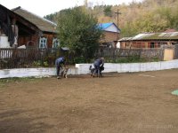 Показательные выступления студентов-кинологов Аграрного колледжа  для школьников