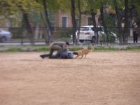 Показательные выступления студентов-кинологов Аграрного колледжа  для школьников