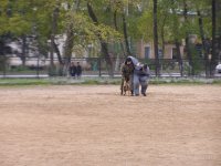 Показательные выступления студентов-кинологов Аграрного колледжа  для школьников