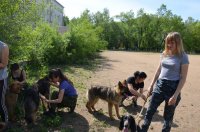 Студенты аграрного колледжа на практике по рабочей профессии «Собаковод»