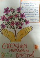 Конкурс творческих работ «Охрана и рациональное использование рододендрона даурского» (апрель 2018)