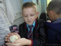 В аграрном колледже состоялось профориентационное мероприятие  для школьников (25.09.2018)