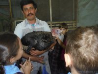 В аграрном колледже состоялось профориентационное мероприятие  для школьников (25.09.2018)