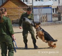 Соревнования по общему курсу дрессировки собак «Кубок Клуба Альфа» 