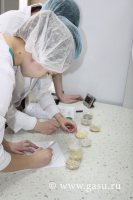 Олимпиада по технологии хранения и переработки продукции растениеводства